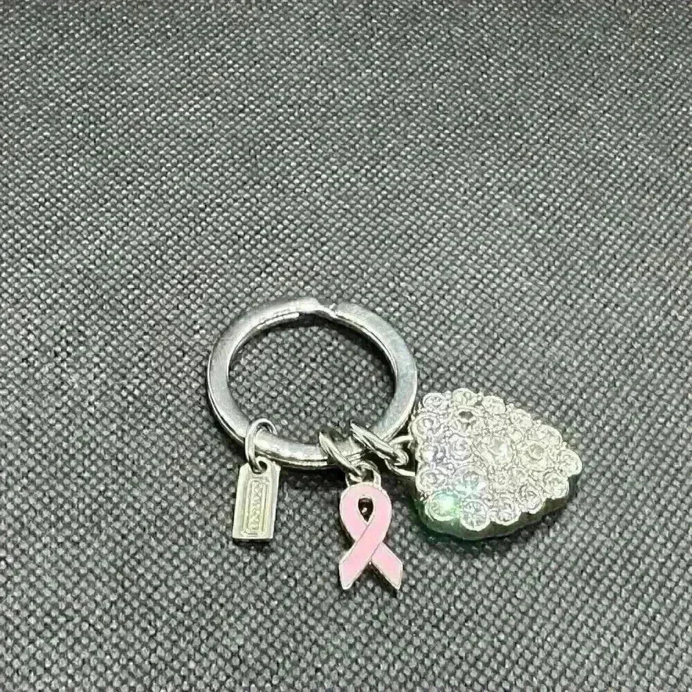 NWOT COACH BCA Breast Cancer Awaren Heart Pave Crystal Keychain Key Ring
